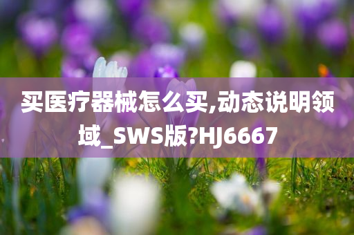 买医疗器械怎么买,动态说明领域_SWS版?HJ6667