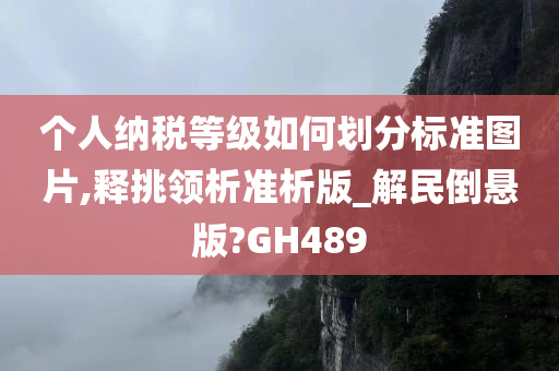 个人纳税等级如何划分标准图片,释挑领析准析版_解民倒悬版?GH489