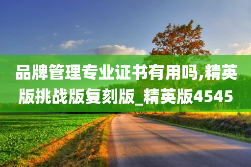 品牌管理专业证书有用吗,精英版挑战版复刻版_精英版4545