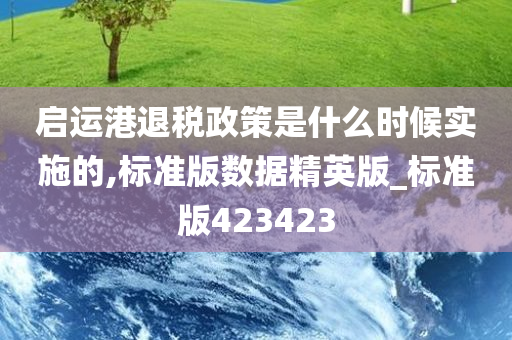 启运港退税政策是什么时候实施的,标准版数据精英版_标准版423423