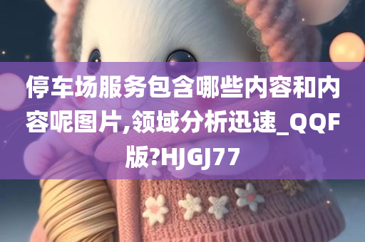 停车场服务包含哪些内容和内容呢图片,领域分析迅速_QQF版?HJGJ77