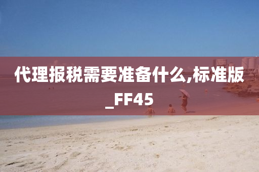 代理报税需要准备什么,标准版_FF45