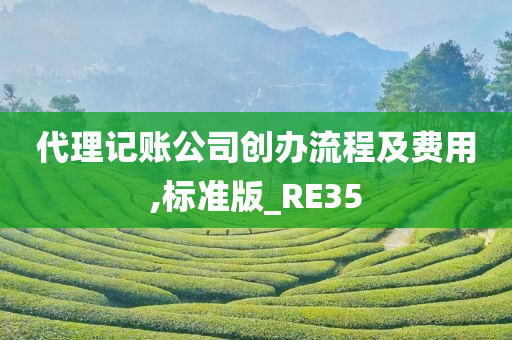 代理记账公司创办流程及费用,标准版_RE35