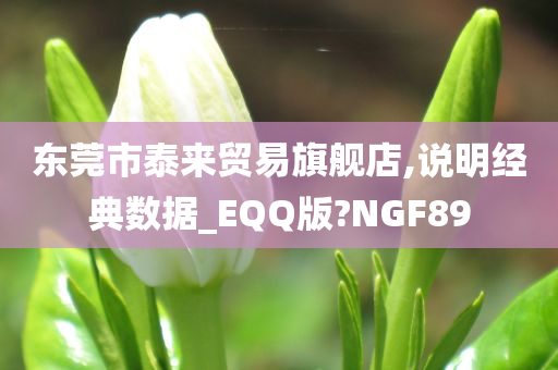 东莞市泰来贸易旗舰店,说明经典数据_EQQ版?NGF89