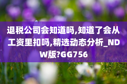 退税公司会知道吗,知道了会从工资里扣吗,精选动态分析_NDW版?GG756