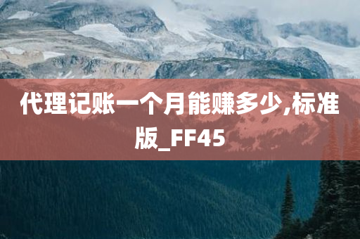 代理记账一个月能赚多少,标准版_FF45