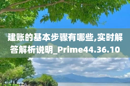 建账的基本步骤有哪些,实时解答解析说明_Prime44.36.10