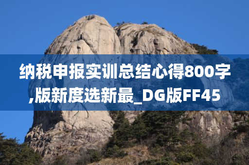 纳税申报实训总结心得800字,版新度选新最_DG版FF45