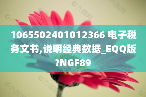 1065502401012366 电子税务文书,说明经典数据_EQQ版?NGF89