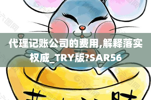 代理记账公司的费用,解释落实权威_TRY版?SAR56