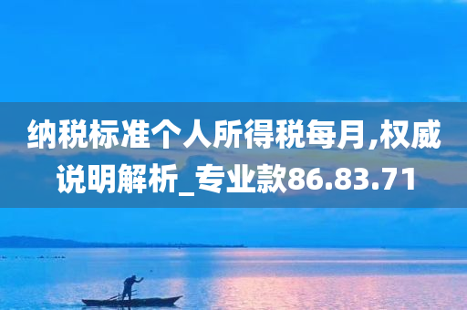 纳税标准个人所得税每月,权威说明解析_专业款86.83.71