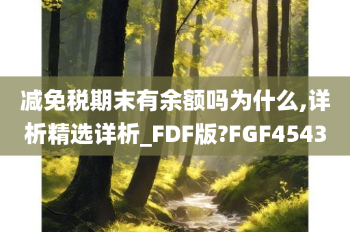 减免税期末有余额吗为什么,详析精选详析_FDF版?FGF4543