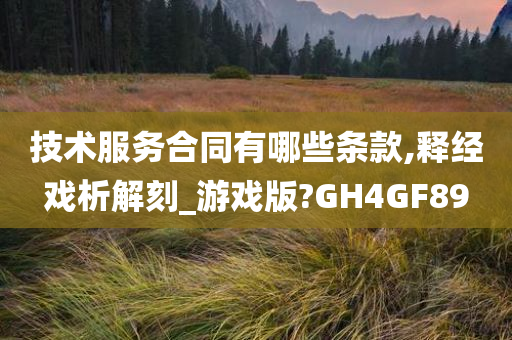 技术服务合同有哪些条款,释经戏析解刻_游戏版?GH4GF89