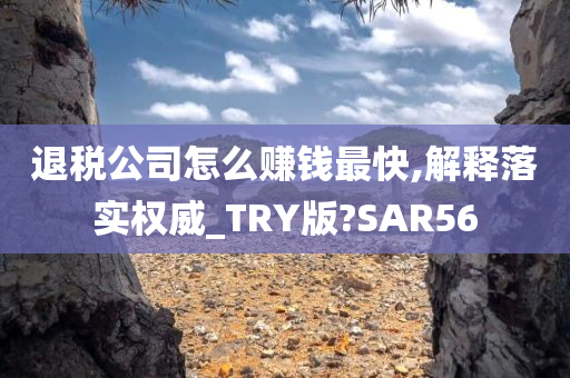 退税公司怎么赚钱最快,解释落实权威_TRY版?SAR56