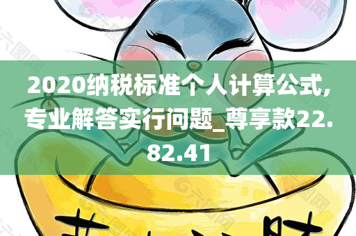 2020纳税标准个人计算公式,专业解答实行问题_尊享款22.82.41