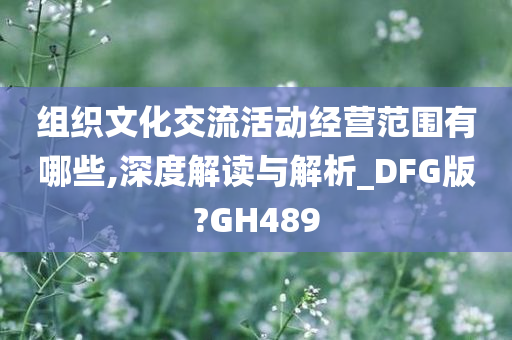 组织文化交流活动经营范围有哪些,深度解读与解析_DFG版?GH489