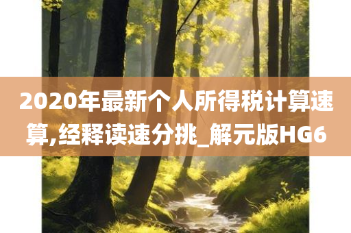 2020年最新个人所得税计算速算,经释读速分挑_解元版HG6