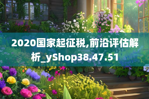 2020国家起征税,前沿评估解析_yShop38.47.51