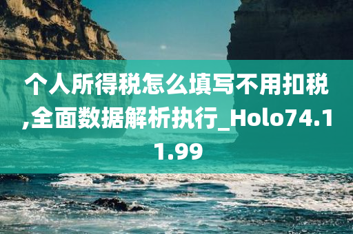 个人所得税怎么填写不用扣税,全面数据解析执行_Holo74.11.99