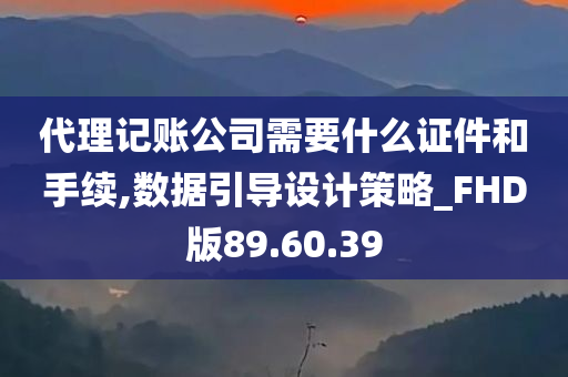 代理记账公司需要什么证件和手续,数据引导设计策略_FHD版89.60.39