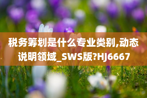 税务筹划是什么专业类别,动态说明领域_SWS版?HJ6667