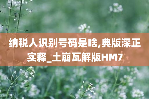 纳税人识别号码是啥,典版深正实释_土崩瓦解版HM7