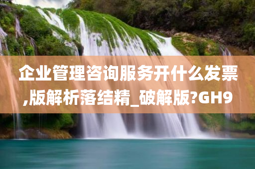 企业管理咨询服务开什么发票,版解析落结精_破解版?GH9