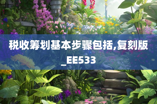 税收筹划基本步骤包括,复刻版_EE533