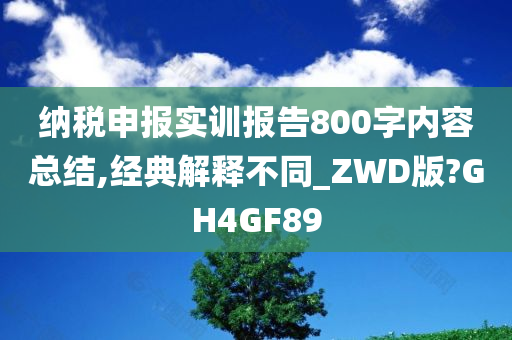 纳税申报实训报告800字内容总结,经典解释不同_ZWD版?GH4GF89