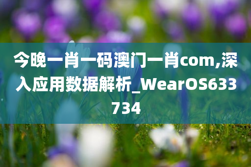 今晚一肖一码澳门一肖com,深入应用数据解析_WearOS633734