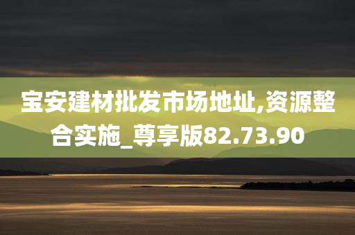 宝安建材批发市场地址,资源整合实施_尊享版82.73.90