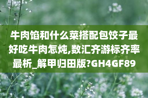 牛肉馅和什么菜搭配包饺子最好吃牛肉怎炖,数汇齐游标齐率最析_解甲归田版?GH4GF89