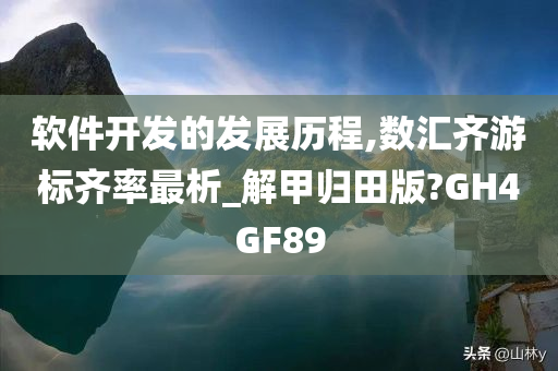 软件开发的发展历程,数汇齐游标齐率最析_解甲归田版?GH4GF89