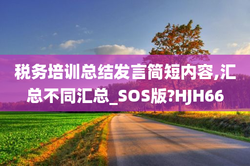 税务培训总结发言简短内容,汇总不同汇总_SOS版?HJH66