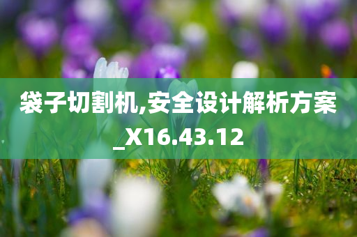 袋子切割机,安全设计解析方案_X16.43.12