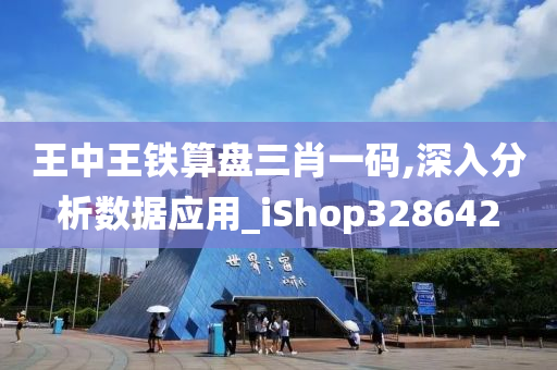 王中王铁算盘三肖一码,深入分析数据应用_iShop328642