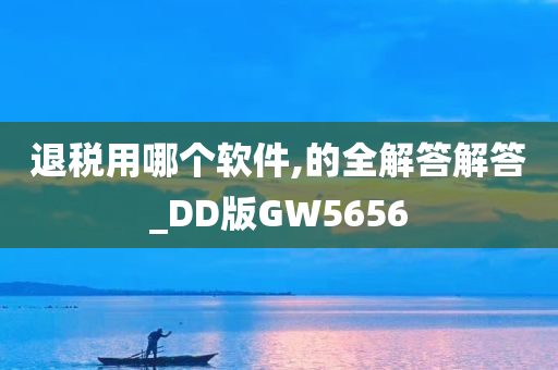 退税用哪个软件,的全解答解答_DD版GW5656