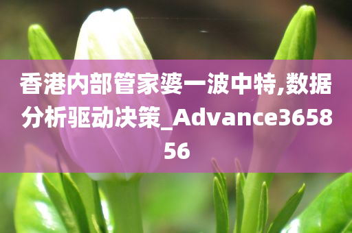 香港内部管家婆一波中特,数据分析驱动决策_Advance365856