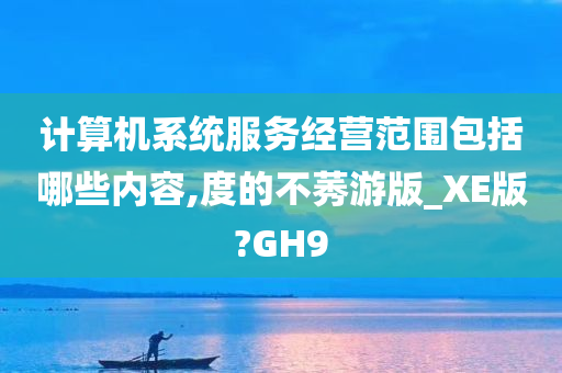 计算机系统服务经营范围包括哪些内容,度的不莠游版_XE版?GH9