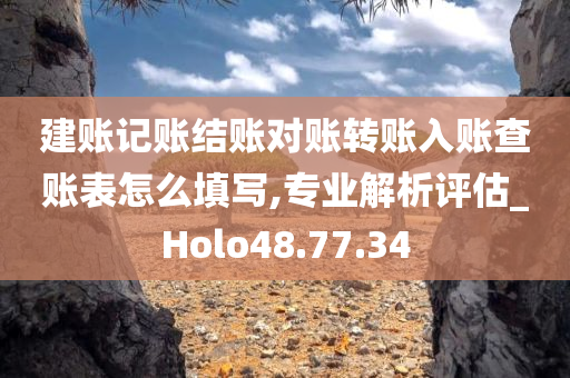 建账记账结账对账转账入账查账表怎么填写,专业解析评估_Holo48.77.34