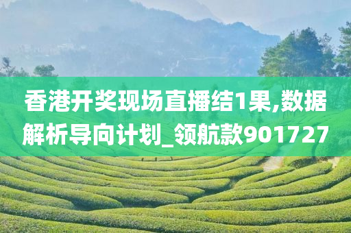 香港开奖现场直播结1果,数据解析导向计划_领航款901727