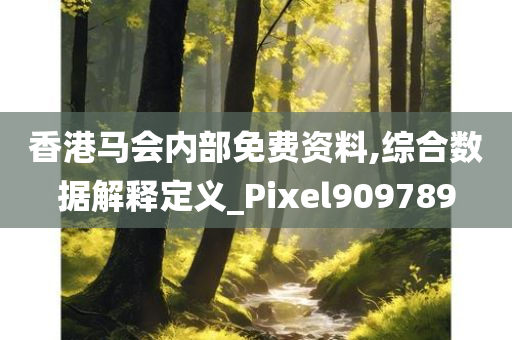 香港马会内部免费资料,综合数据解释定义_Pixel909789