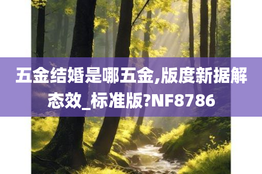 五金结婚是哪五金,版度新据解态效_标准版?NF8786