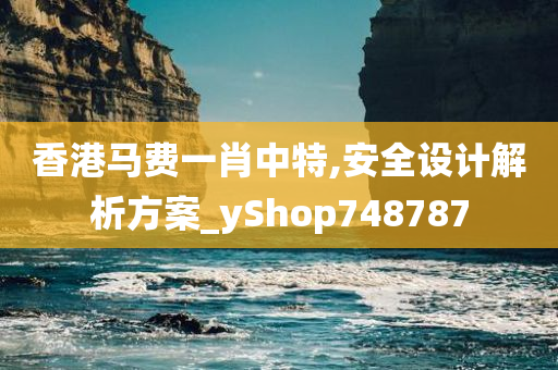 香港马费一肖中特,安全设计解析方案_yShop748787