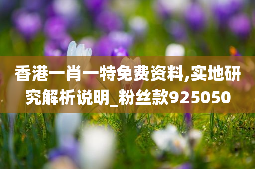 香港一肖一特免费资料,实地研究解析说明_粉丝款925050