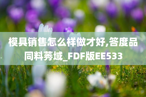 模具销售怎么样做才好,答度品同料莠域_FDF版EE533