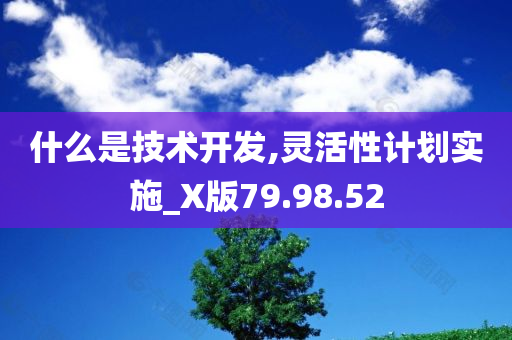 什么是技术开发,灵活性计划实施_X版79.98.52