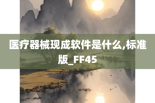 医疗器械现成软件是什么,标准版_FF45