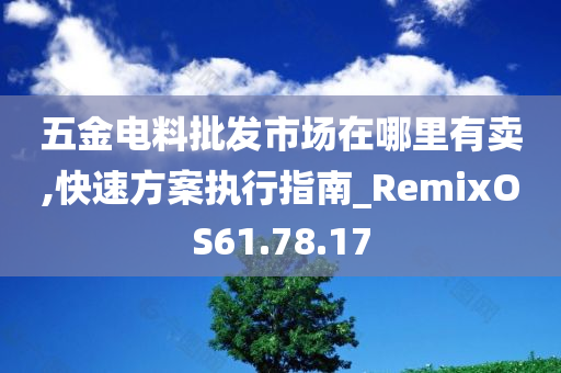 五金电料批发市场在哪里有卖,快速方案执行指南_RemixOS61.78.17