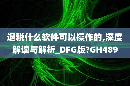 退税什么软件可以操作的,深度解读与解析_DFG版?GH489